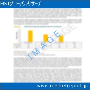 市場と産業調査レポートのイメージ